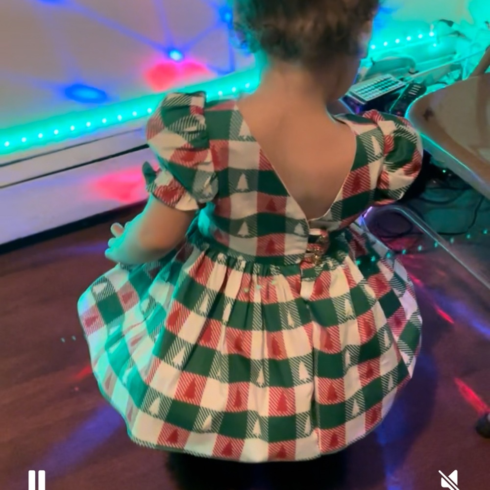 Toddler Christmas Dress- The Grinch - Picture 6 of 7